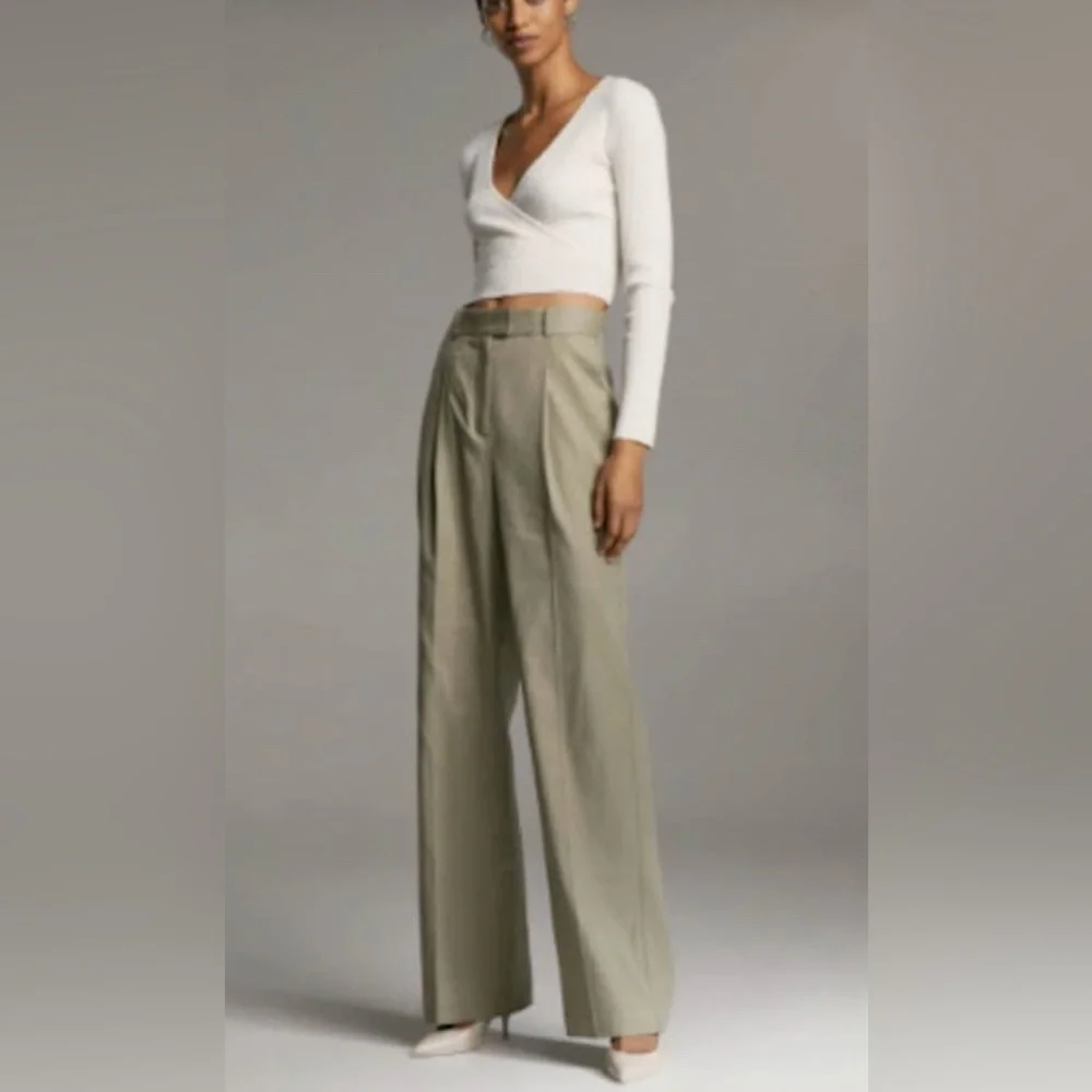 Babaton Aritzia Sadiki‎ Linen Blend Pleaded Trousers Size 8 Basil Tan Color
